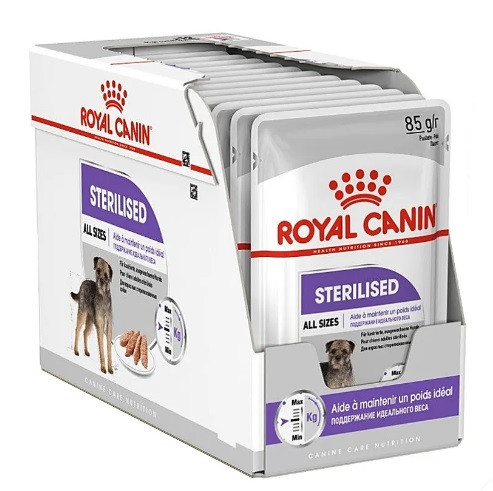 پوچ سگ عقیم شده رویال کنین