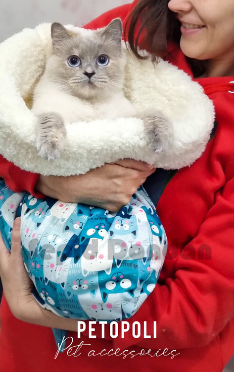 کیسه خواب گربه