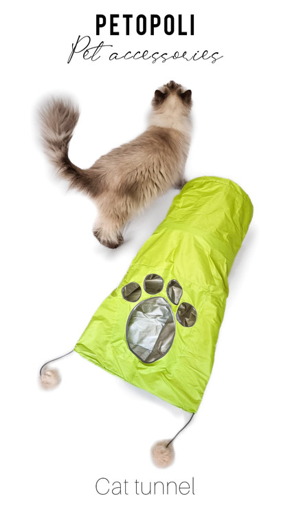 تونل بازی گربه