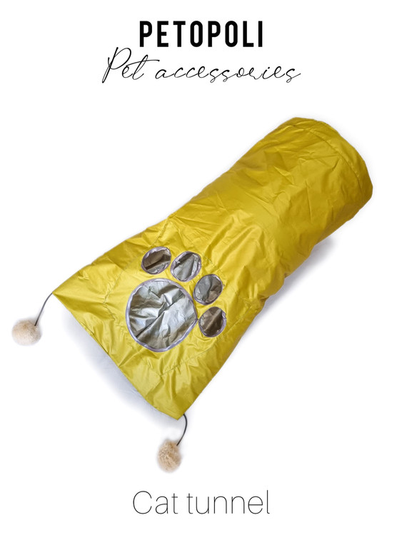 تونل پتوپولی