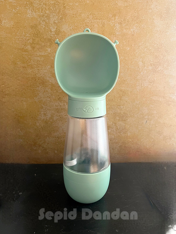 ظرف همراه سگ