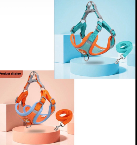 قلاده سگ تنی