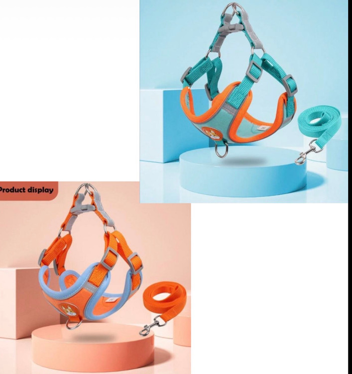 قلاده سگ تنی