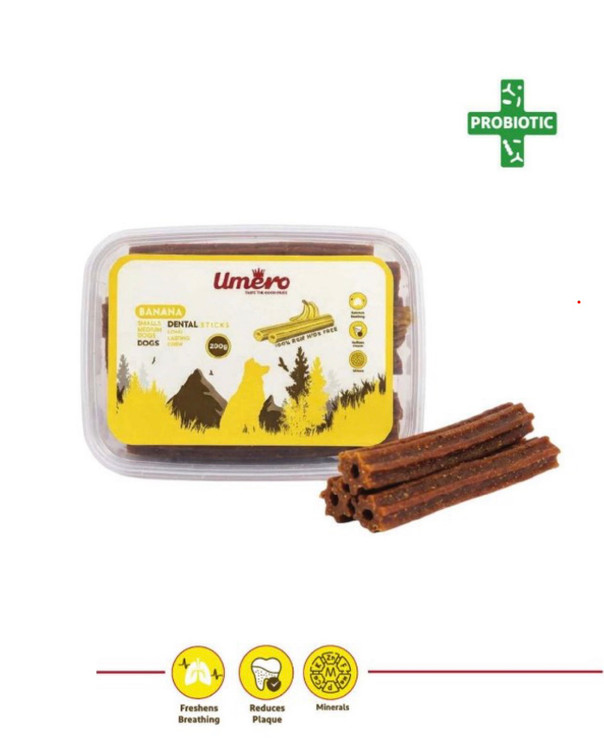 تشویقی سگ اومرو