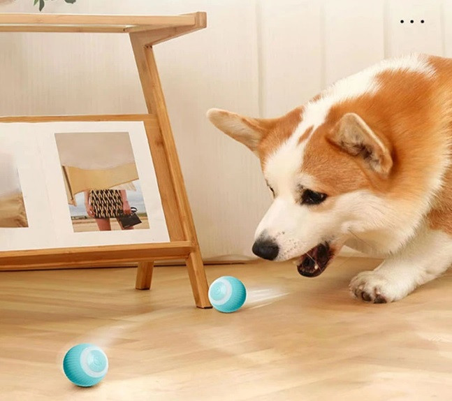 توپ هوشمند سگ