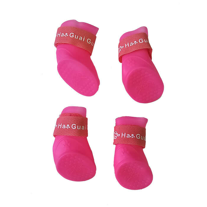 کفش لاتکس سگ