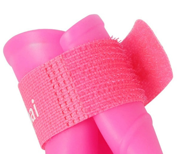 کفش سگ چسبی