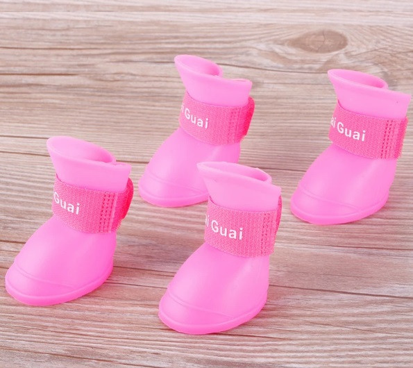 کفش صورتی سگ