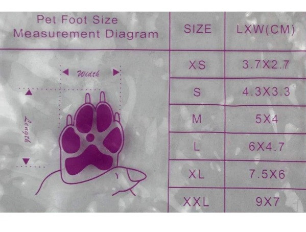 کفش راحت سگ