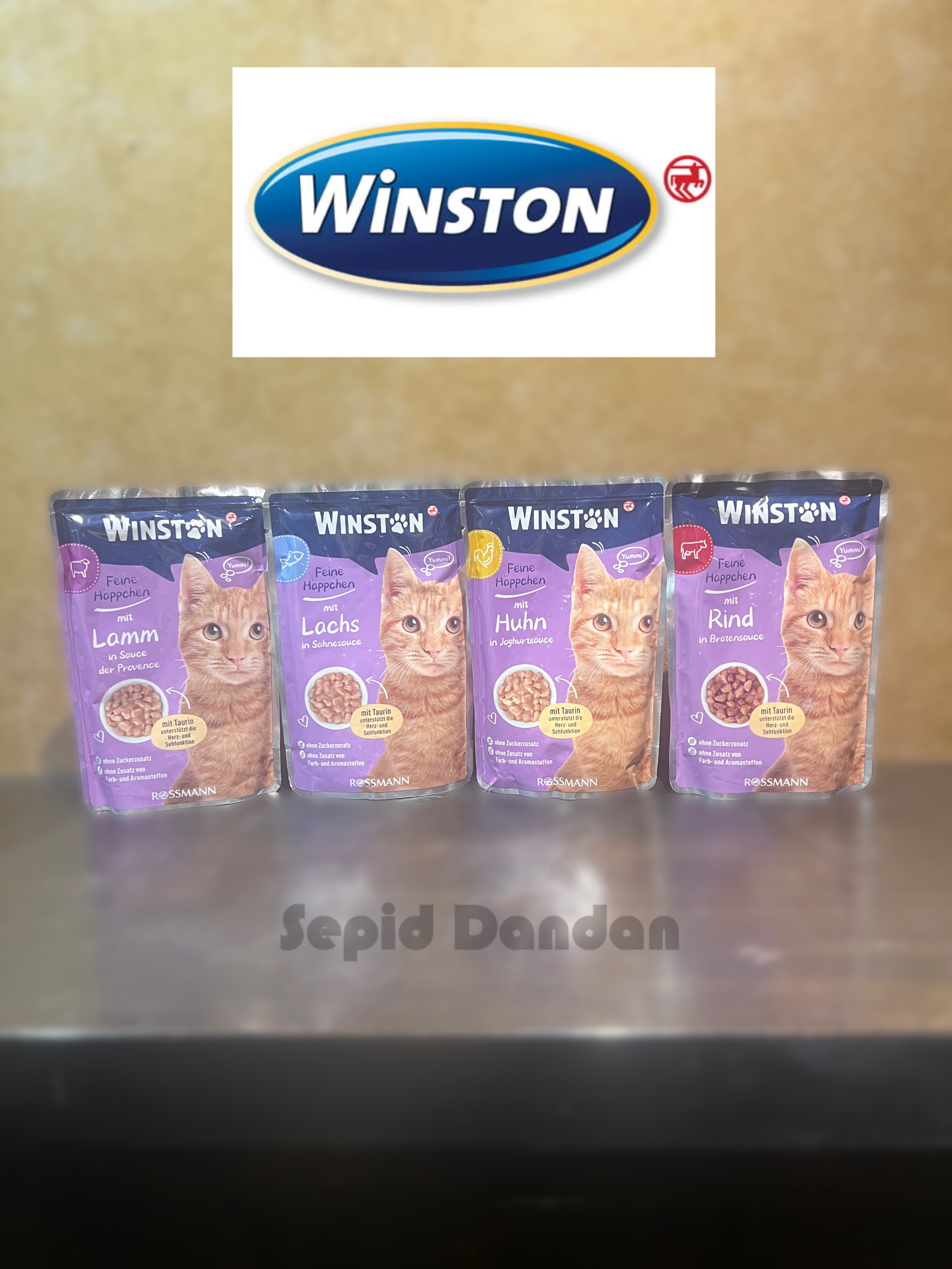 پوچ گربه وینستون در 4 طعم در ژله