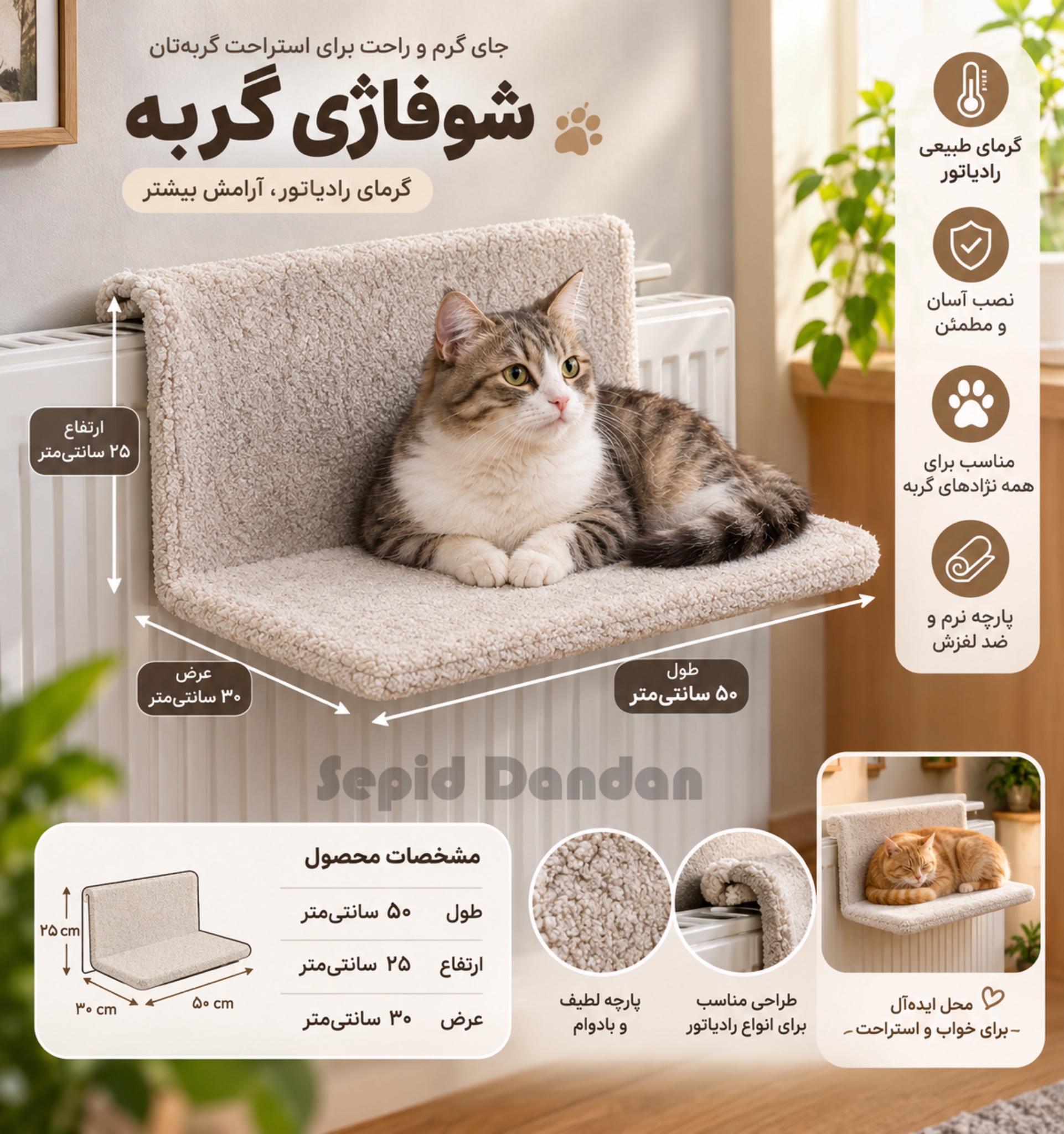 روشوفاژی گربه