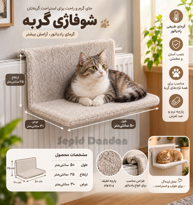 روشوفاژی گربه